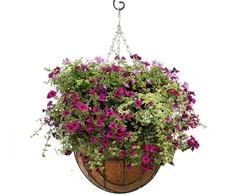 Garden Center Pakabinamas gėlių vazonas medžiams hb2301 d25cm