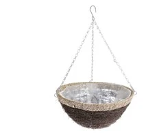 Garden Center Vazoninės gėlės pintos nhbn314 aukštis 35 cm