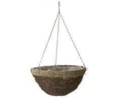 Garden Center Vazoninės gėlės pintos nhbn314 aukštis 35 cm