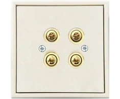 Speaker connection socket LIREGUS MODERN. 2-gang. beige