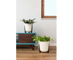 Gėlių vazonas Lamela Frida 229-74, plastikinis, kreminės spalvos