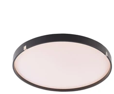 Šviestuvas plafonas Tope LED. 2X24W. 3000-6500K. 3800lm. DIA40