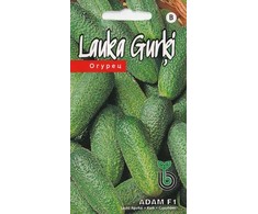 Kurzemes Seklas Agurkai Adam F1, Kurzemes sėklos, 15 vnt.
