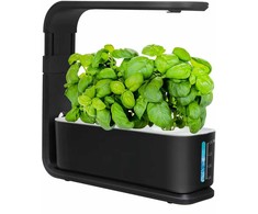 Hidroponikos sistema Garden Center GT1033, plastikinė, 26,5 cm x 8,8 cm, juodos spalvos.