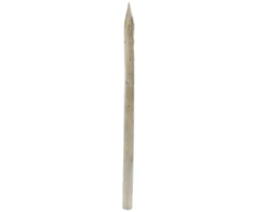 IMPREGNATED PICKET 5-6X150CM SHARP 3CL