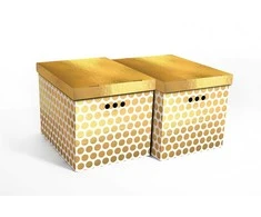 Domoletti FOLDABLE CART BOX2 44X35X32CM GOLD DOTS