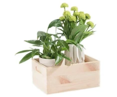 Domoletti WOODEN BOX33X25X15.5 508400