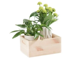 Domoletti WOODEN BOX33X25X15.5 508400