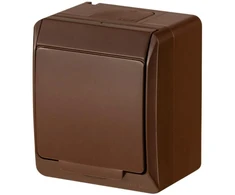 Kištukinis lizdas Elektro-Plast Hermes 0324-06, rudas