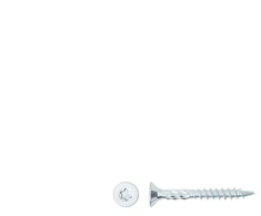 Forte Tools Forte medžio drožlių plokštės sraigtas T25 5.0x40/24 baltas ZN10 vnt.