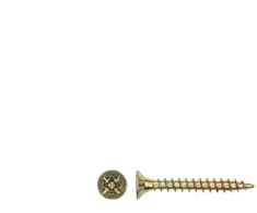 Grąžtas Haushalt Vivalto CHIPBOARD SCREW 4.5X40 YLW ZP 25PCS G1
