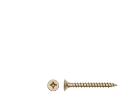 Haushalt Fischer CHIPBOARD SCREW 5.0X45 YLW ZP 20PCS G1