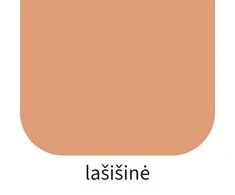 Dažai RILAK PENTAPRIM lašišinė 2.7 L