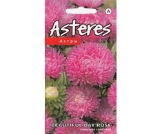 Kurzemes Seklas Astrų sėklos Beautiful Day Rose 0.2g