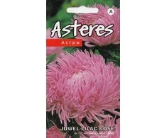 Kurzemes Seklas Astrų sėklos 0.3g Juwel Lilac Rose
