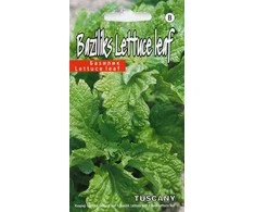 Kurzemes Seklas Sēklas baziliki, 1 g