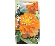 Kurzemes Seklas Gvaizdūnių sėklos 1g Oranžinis King