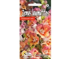 Kurzemes Seklas Liūto karčių sėklos Antiquityf 1 Oranžinis Bicol, 3 g