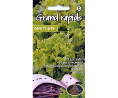 Kurzemes Seklas Sėklos, salotos Grand Rapids, 4 g, 4 m
