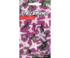 Kurzemes Seklas Sėklos. Vienmetės Kuržemės sėklos, 0,1 g.