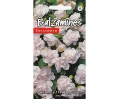 Kurzemes Seklas Sėklos. Vienmetės Kuržemės sėklos, 0,1 g.