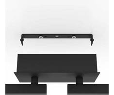 Lubinis šviestuvas Lampa sufitowa EGLO CEILING LED CARDILLIO 2 2/4 900516 BL