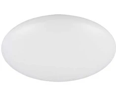 REALITY Realybės lubinis šviestuvas, LED, 1 x 9 W