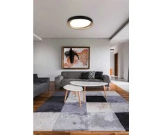 Lubinis šviestuvas Trio ZETA LED CEILING LAMP Juodas/GOLD