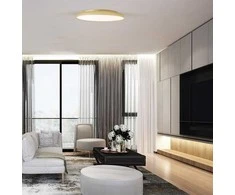 Šviestuvas lubų Viokef Art, LED, 3000 °K, 1 x 40 W