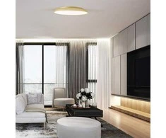 Šviestuvas lubų Viokef Art, LED, 3000 °K, 1 x 40 W