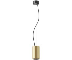 Šviestuvas pakabinamas Maytoni Efir P089PL-15W3K-MG, 3000 °K, 1 x 15 W