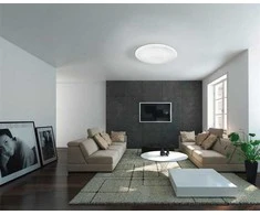 Šviestuvas plafonas Eglo Frania-S 97878, LED, 3000 °K, 1 x 17.3 W