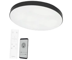Lempa plafonas Tope Boston 6004000084, LED, 3000 - 6500 °K, 2 x 36 W