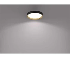 Lubinis šviestuvas „Philips Hanno 929004115901“, LED, 4000 °K, 1 x 24 W