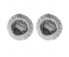 Mamibot W110-T Pilkas Pads