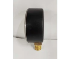 Manometrs Watts 10007714, 63 mm, 16 Bar