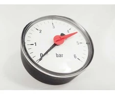 Manometras WATTS, 63 mm, Ø ¼", 6 bar