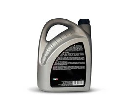 Automobilio variklio alyva Autoserio 5W-20, 4 l