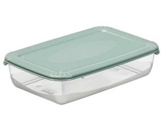 NHG Maisto laikymo indas Polar Box 460ml Žalias