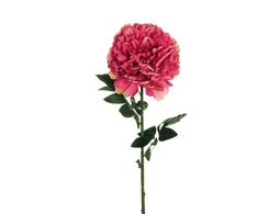 None Nežinomas Dirbtinė gėlė, bijūnas, rožinė sp., 82 cm
