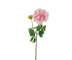 None Nežinomas Dirbtinė gėlė, Dalija rožinė sp., 62 cm
