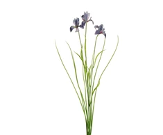 None Nežinomas Dirbtinė gėlė Irisas, mėlyna sp., 72 cm