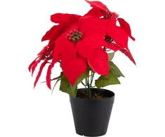 None Nežinomas Dirbtinė gėlė, puansetija, 30 cm