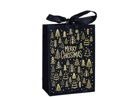 None Gift bag Velvet. 16 cm x 12 cm. juodas col.