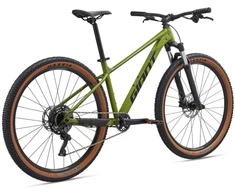 None Dviratis GIANT Talon 2, 29" Dried Matcha ,XL,