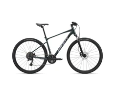 None Dviratis GIANT Roam 2, asfalto žalias, L,