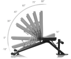 None HAMMER Autark exercise bench