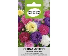 Okko kininio asterio *American Branching* sėklos, 0,5 g