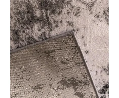 Paklājs Domoletti Timeles 7690a/c0847, balta krās./melna krās., 240 cm x 160 cm
