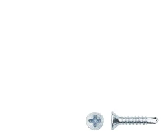 Haushalt E Normpro SELF SCREW 3,9X19 DIN7504P ZN 30PCS